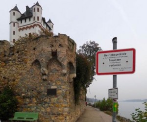 Leinpfad am Rheinufer in Höhe der kurfürstlichen Burg in Eltville
(Quelle: Wikipedia)
