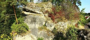 Burgruine Steinamwasser - Ansicht der Ruine von Süden
(Quelle: Wikipedia)