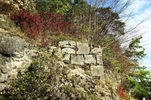 Burgruine Steinamwasser - Quader der südlichen Ringmauer
(Quelle: Wikipedia)