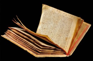 Das Lorscher Arzneibuch der Staatsbibliothek Bamberg
Ein mittelalterlicher Pergamentband
Quelle: mit freundlicher Genehmigung der Staatsbibliothek Bamberg