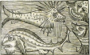 Imaginäre Monster - Olaus Magnus Historia de Gentibus Septentrionalibus Rom 1555
Quelle: Wikimedia