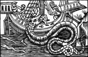 Seeschlange - Olaus Magnus Historia de Gentibus Septentrionalibus Rom 1555
Quelle: Wikimedia